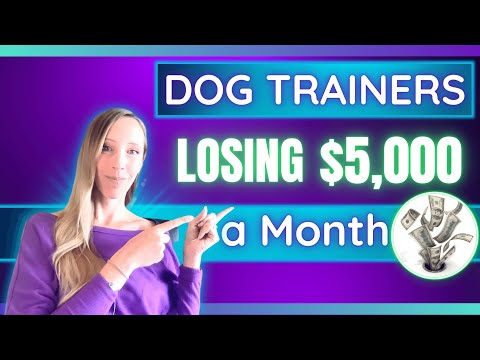 , title : 'You're Losing $5k Every Month Because of This | Dog Trainers'