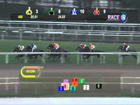 マリアネグロ　６着　2014.03.30 R12