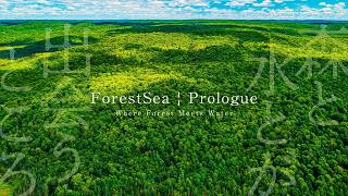 【4K Drone】Canada Ontario’s Forests & Lakes | Where Forest Meets Water | ForestSea Prologue