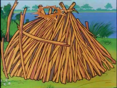 CZARNA BANDERA (1978) - SERIA: PRZYGODY BOLKA I LOLKA