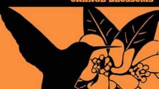 JJ Grey & Mofro - Everything Good Is Bad