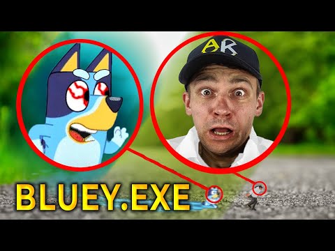 A Blue Heeler that looks just like Bluey!