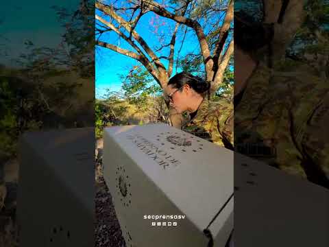 Paquetes escolares llegaron a Morazán