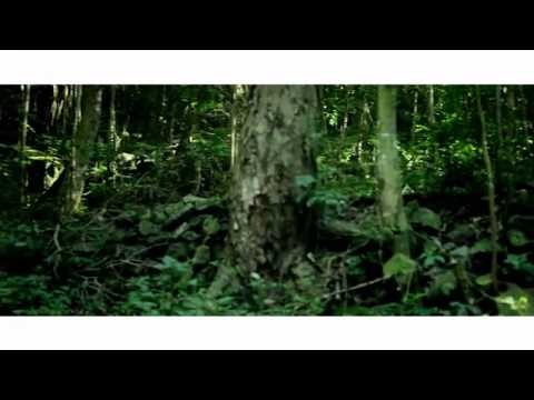 Booba    Killer   Streetlive