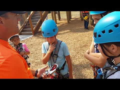 20 августа 2017 г.