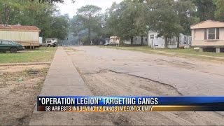 Major Drug Busts in Tallahassee