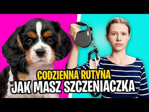 Daily Routine when you have a Puppy