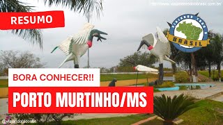 preview picture of video 'Viajando Todo o Brasil - Porto Murtinho/MS'