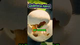 O Ganso Já Estava Tentando Sair do Ovo