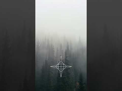 AndoraX - september III: hope