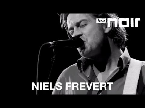 Niels Frevert - 1m² Regenwald (live bei TV Noir)