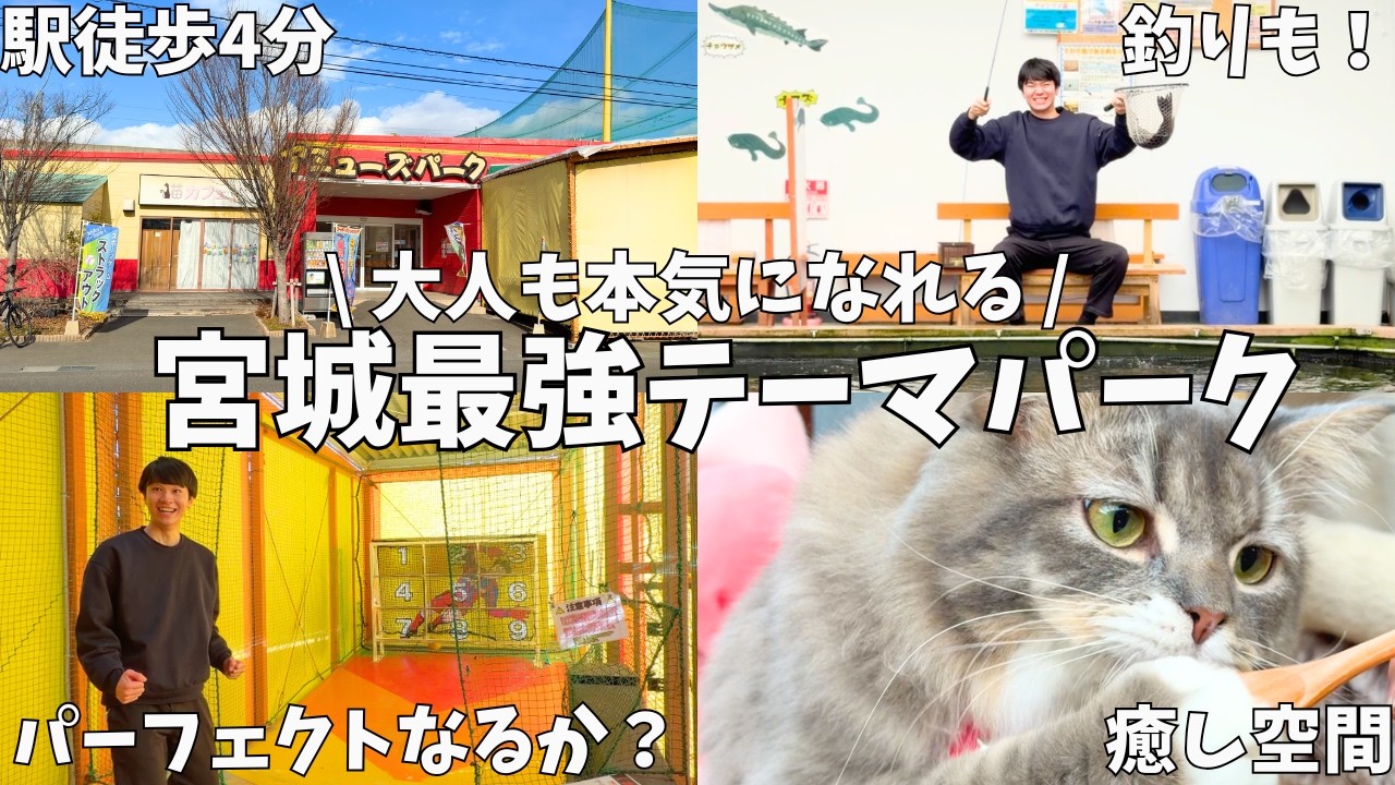 【宮城】大人も本気で楽しめる！最強の遊び場スポット見つけた⚾️😸