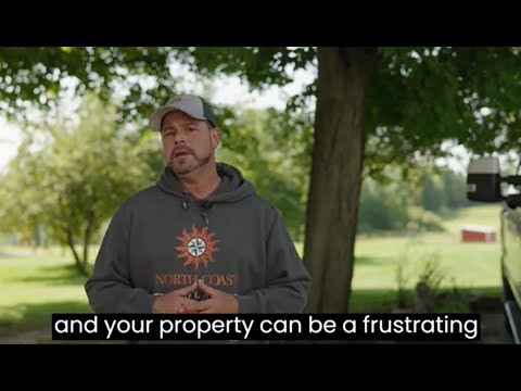 What To Expect From Us