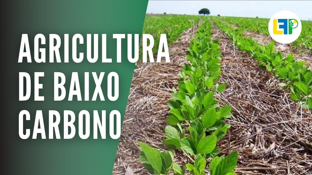 AGRICULTURA DE BAIXO CARBONO [Plano ABC] #2