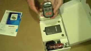 Raymarine S100 Fernbedienung