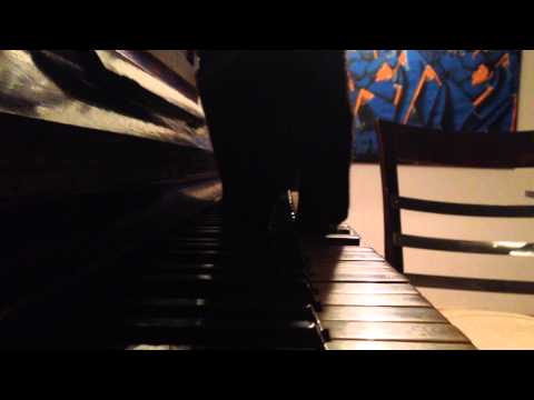 Catsody - The Pianist Cat