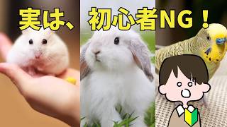 そのペット、本当に初心者向け？勘違いしやすい7種を解説