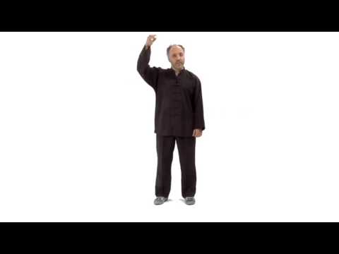 Important point for cheng man ching form practice