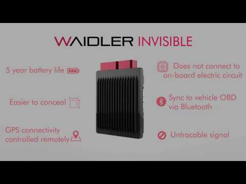 Waidler Invisible