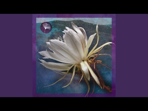 Another Brick In The Wall