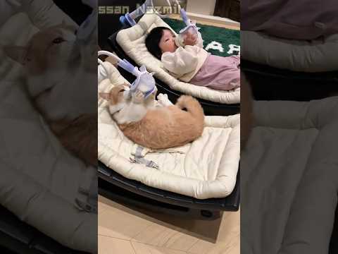 The Cat Drinks Milk With Her Baby Sister for the First Time… So Sweet! 🐱❤️👶 #shorts #funny #comedy