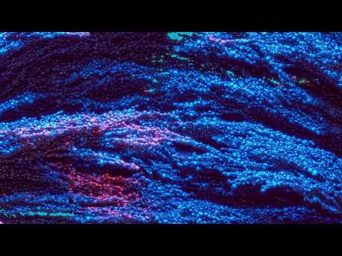 Vandelux - To Love Again