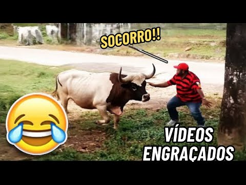 DESAFIO⚠️ TENTE NÃO RIR 🤣 | MELHORES memes e VÍDEOS ENGRAÇADOS 2026 🔥 #memes #comedia #111 