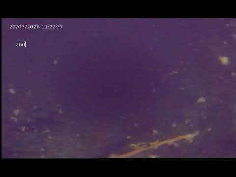 Extracto 260 - 9 De Julio - San Juan