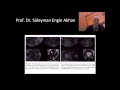 Prof. Dr. Süleyman Engin Akhan Prof. Dr. Süleyman Engin Akhan