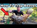 How To Trap Beavers For Beginners