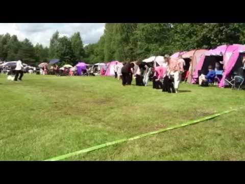 Hyvinkää 18.7.2015  best male competition .