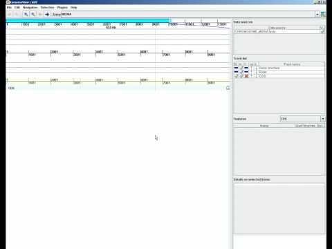 Load Video Data