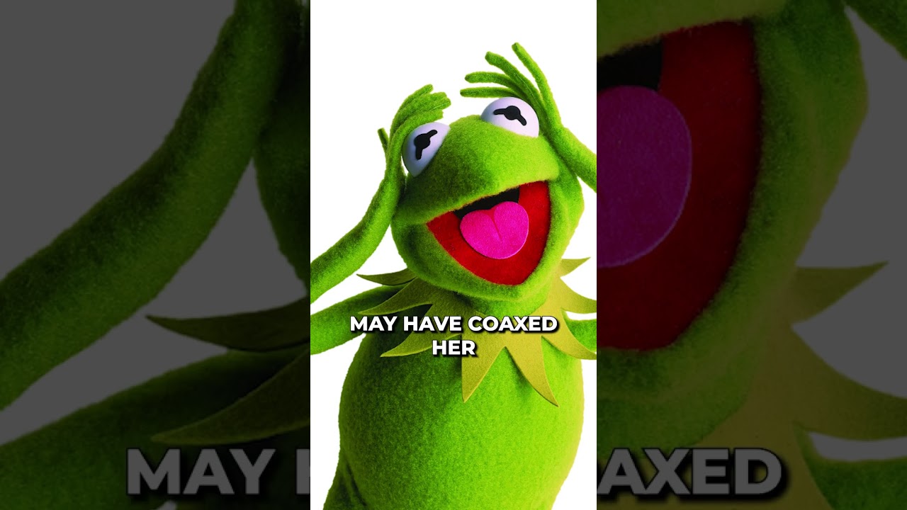 MISS PIGGY PLASTIC SURGERY ANALYSIS !!