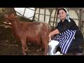 Người phụ nữ Azerbaijan chế biến phô mai Suluguni từ sữa dê và cừu