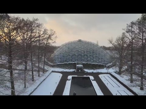 Stay warm in the Missouri Botanical Garden's tropical Climatron