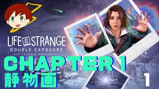 【LIFE IS STRANGE DOUBLE EXPOSURE】～chapter1 静物画～　part1