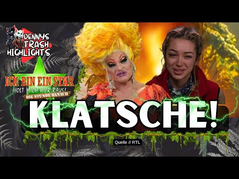 KLATSCHE für Ariel! ERSTE WORTE nach RAUSWURF! Die Stunde danach #ibes
