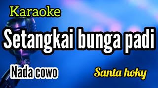 Download lagu Karaoke SETANGKAI BUNGA PADI full lirik nada COWO mp3