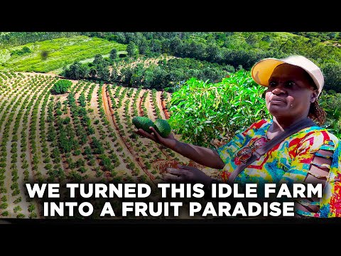 This Family Left Nairobi and Turned Their Idle Farm in Makueni into a Fruit Paradise | Slow Living 