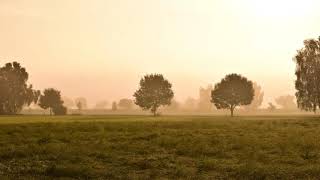 Sun in My Morning - The Bee Gees
