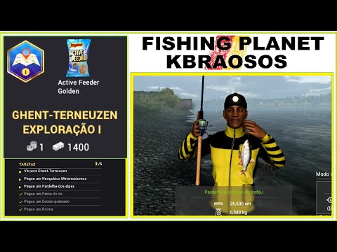 GHENT-TERNEUZEN EXPLORAÇÃO I - kbraosos