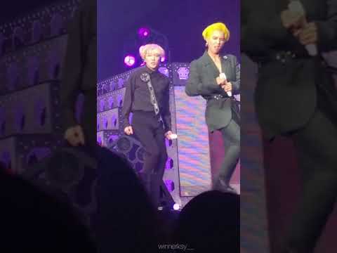 180617 위너 EVERYDAY 2 배속 강승윤 표정 잘보임 ㅋㅋㅋㅋㅋㅋ