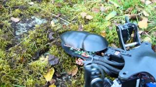 Apod, the working ant robot!