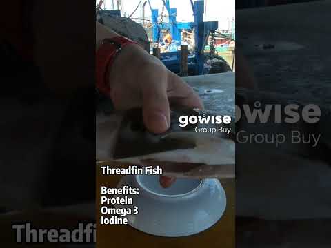 Threadfin Fish - Medium Size (400-600g) x1 Piece