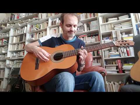 Guitare Paul Beuscher PB400 image 6