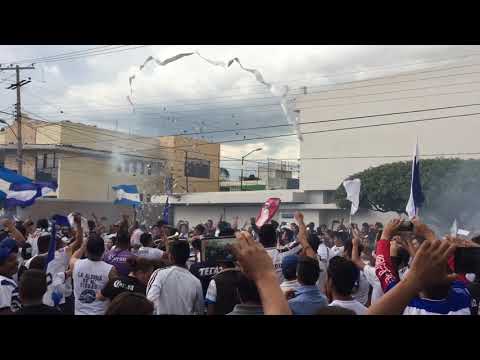 "Soy de Celaya" Barra: La Demencia &bull; Club: Celaya