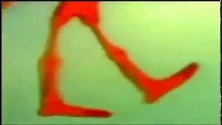 SKELETON NIGGA FO 10 MINS