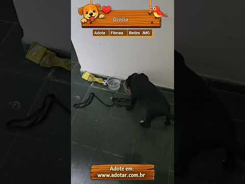 Vídeo de Grécia