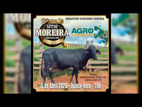 2º LEILÃO SÍTIO MOREIRA - SEBASTIÃO FAGUNDES - IBERTIOGA/MG - 16/04/2026