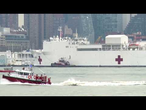 Comfort Arrives/Covid-19